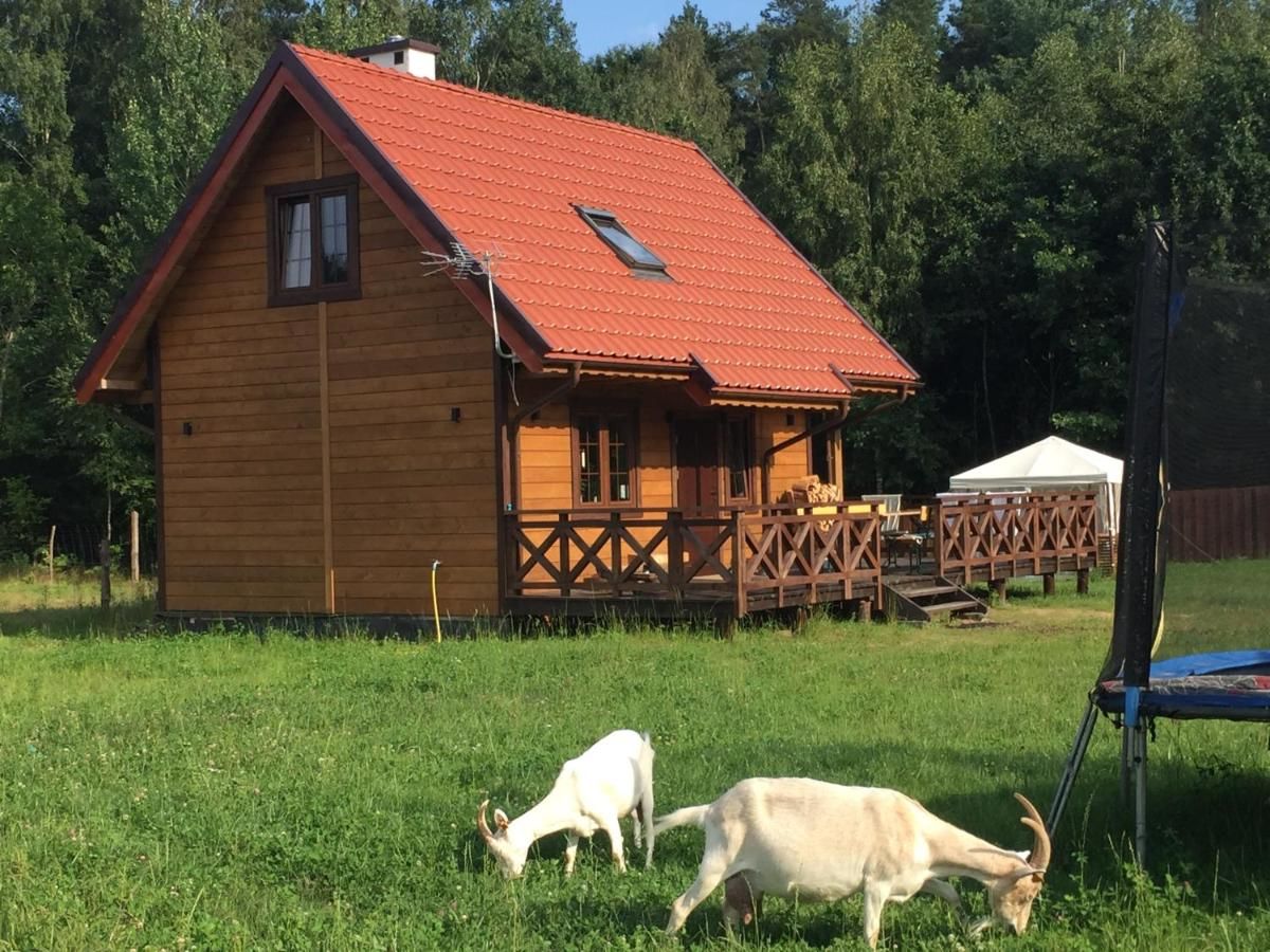 Дома для отпуска Wypoczynek na Mazurach U Sebka Лукта